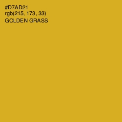 #D7AD21 - Golden Grass Color Image